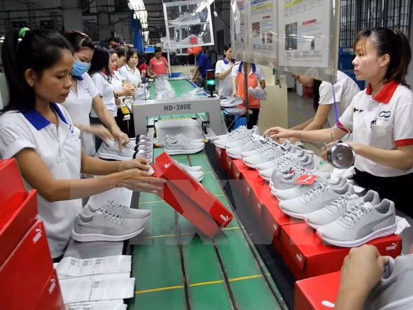 Companies resuming operations shoot up in number ảnh 1