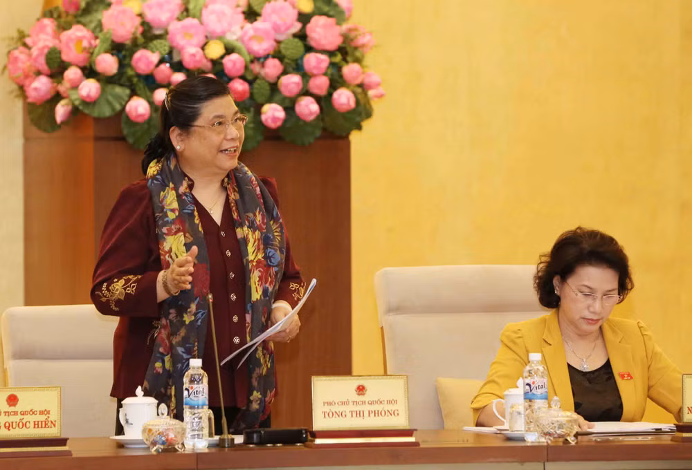 NA Standing Committee outlines supervision, lawmaking plans for 2017 ảnh 1