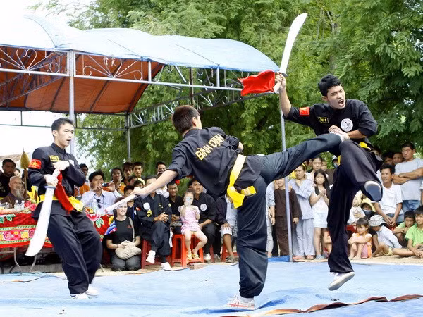 Int’l traditional martial arts festival to kick off in August ảnh 1