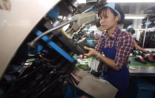 Indian leather industry eyes huge Vietnam's market ảnh 1 Indian leather industry eyes huge Vietnam's market ảnh 1