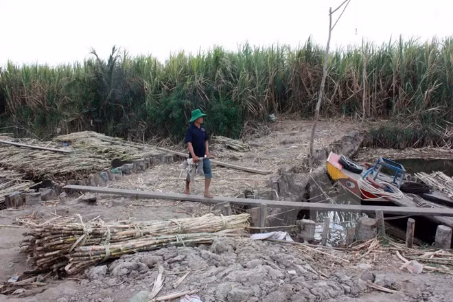Extension of flood-proof house construction programme proposed ảnh 1