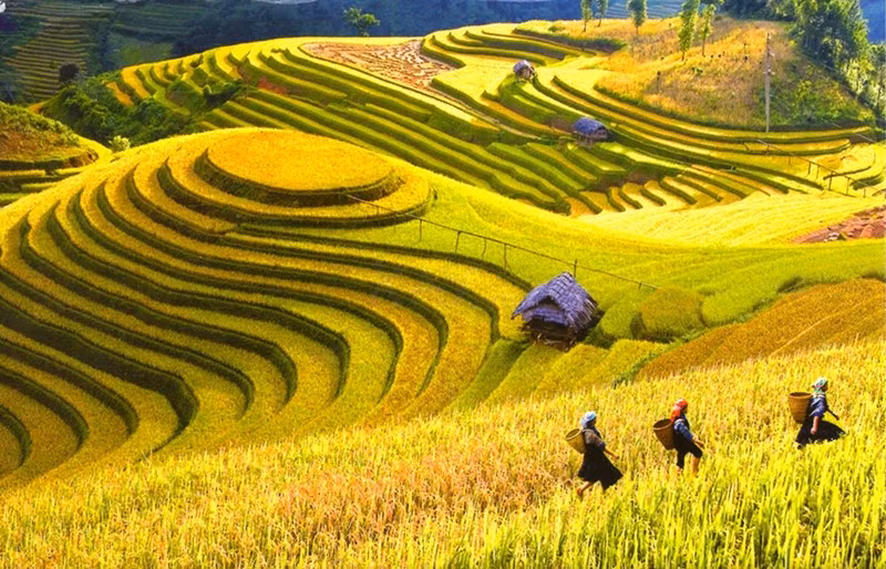 Sapa Tourism Week to host cultural events ảnh 1