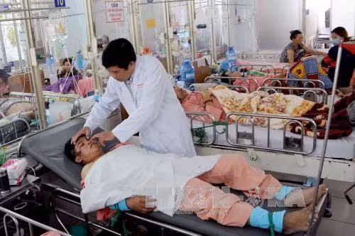 Malnutrition rampant in Vietnam’s hospitals ảnh 1
