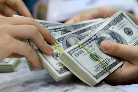 Central bank ups anti-dollar efforts ảnh 1