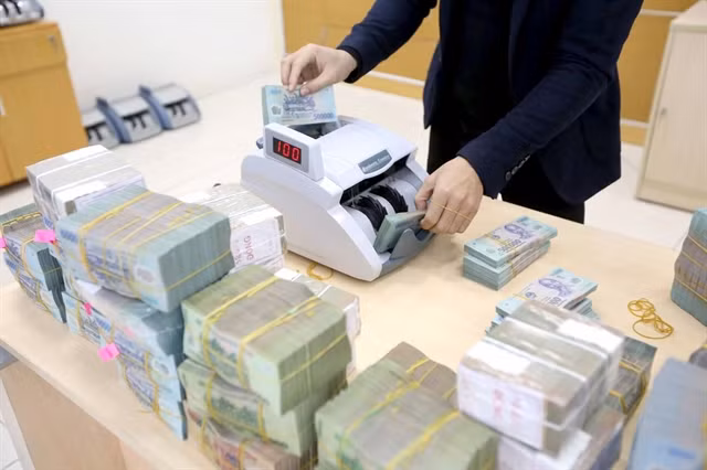 Bank credit growth improves in HCM City ảnh 1