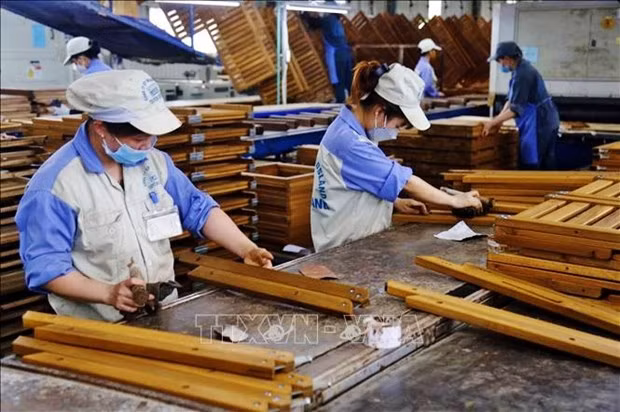 Forestry sector aims for 17.5 billion USD in exports next year ảnh 1