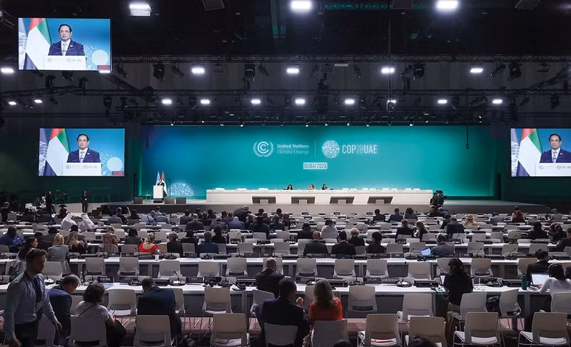 Vietnam causes impact at multilateral forums: Ambassador ảnh 2