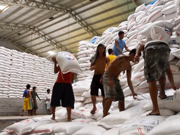 Philippines plans to import more rice from Vietnam, Thailand ảnh 1