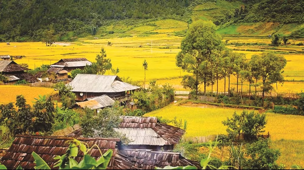 Financial aid for ethnic minority housing and land reclamation ảnh 1