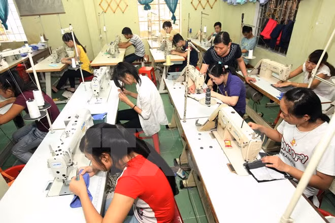 Thua Thien-Hue steps up efforts to care for disabled people ảnh 1 Thua Thien-Hue steps up efforts to care for disabled people ảnh 1
