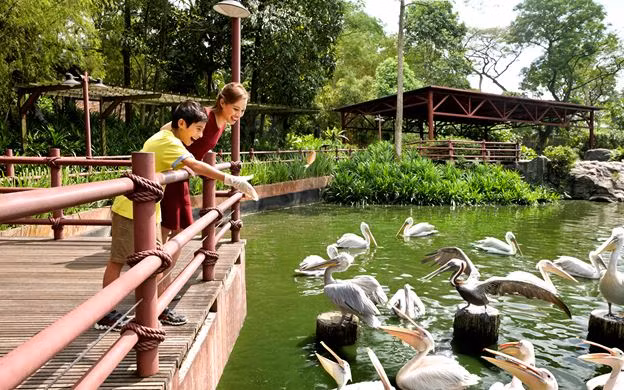 Environmentalists voice concern about Singapore mass eco-tourism project ảnh 1