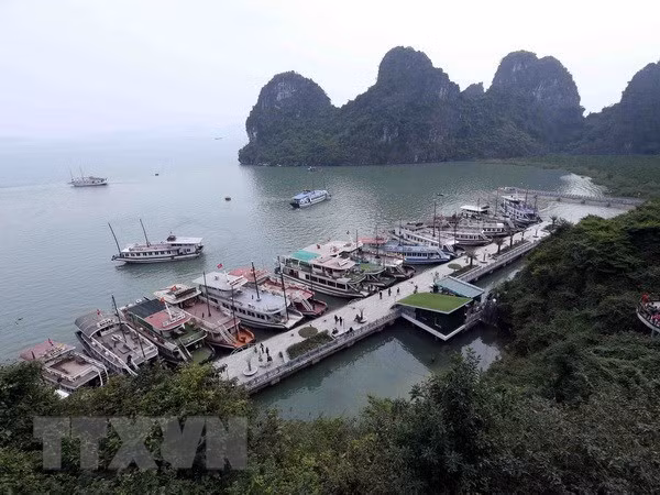Quang Ninh strives to become regional high-quality services centre ảnh 1