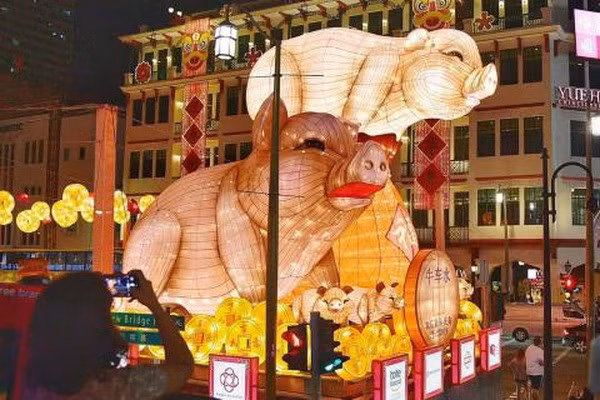 Singapore’s Chinatown dresses up for Lunar New Year ảnh 1