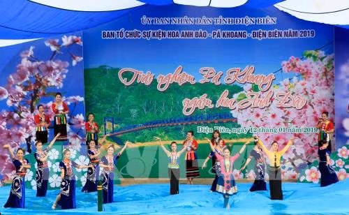 Dien Bien: Pa Khoang hosts second cherry blossom festival ảnh 1