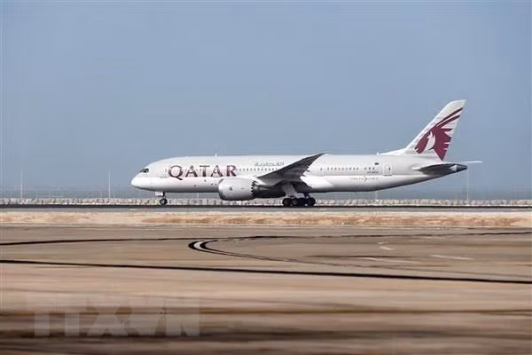 Qatar Airways plans to increase flights on Doha-Da Nang route ảnh 1