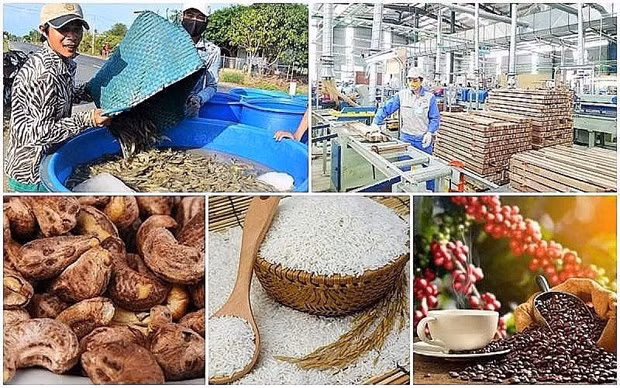 Agro-forestry-aquatic product exports drop 11% in five months ảnh 1