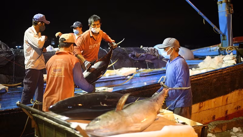 Communications key to fighting IUU fishing ảnh 1 Communications key to fighting IUU fishing ảnh 1