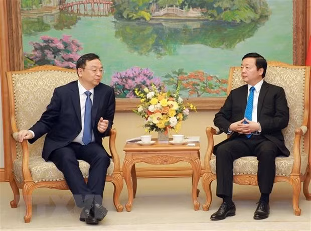 Deputy PM receives leaders of Chinese, Japanese companies ảnh 1