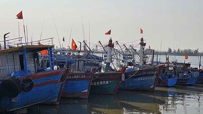 Communications key to fighting IUU fishing ảnh 2 Communications key to fighting IUU fishing ảnh 2