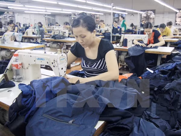 EU-Vietnam FTA to take effect in 2018 ảnh 1