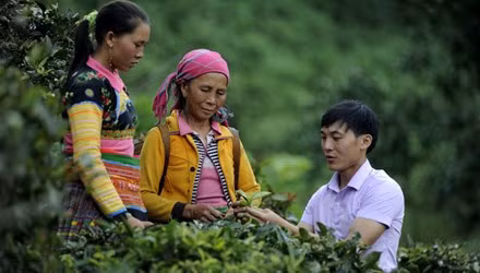 Young commune officials land jobs ảnh 1