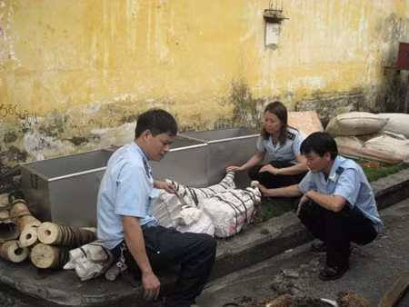 Customs officials seize elephant tusks ảnh 1
