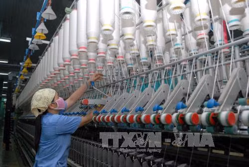 Vietnam works to bolster exports to China ảnh 1
