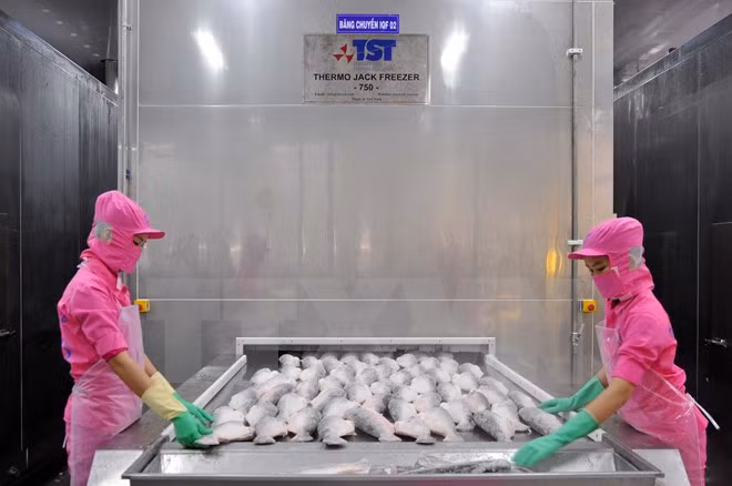 Aquaculture centre to be formed in Can Tho ảnh 1
