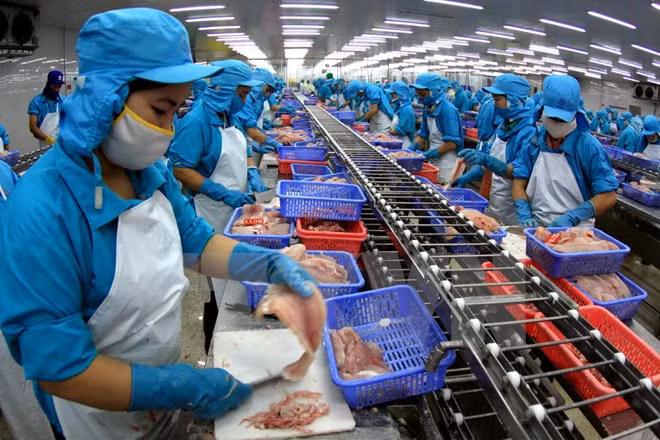 Can Tho attracts 20.6 million USD in FDI capital ảnh 1