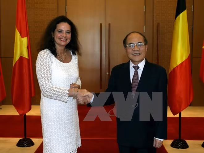 Vietnam, Belgium seek closer legislative ties ảnh 1
