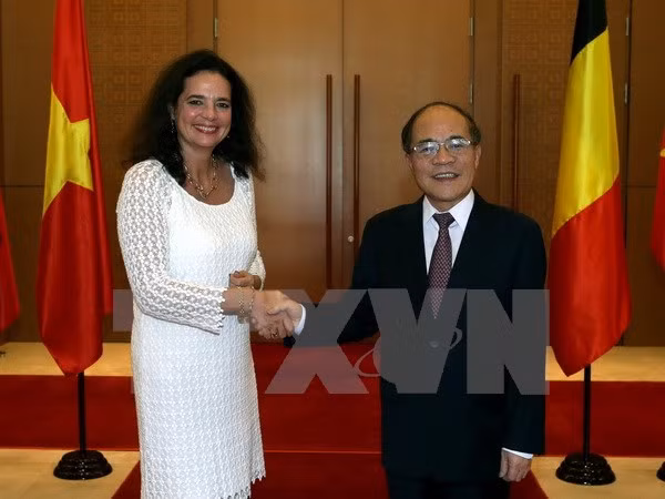 Vietnam, Belgium boost co-operation through parliamentary diplomacy ảnh 1