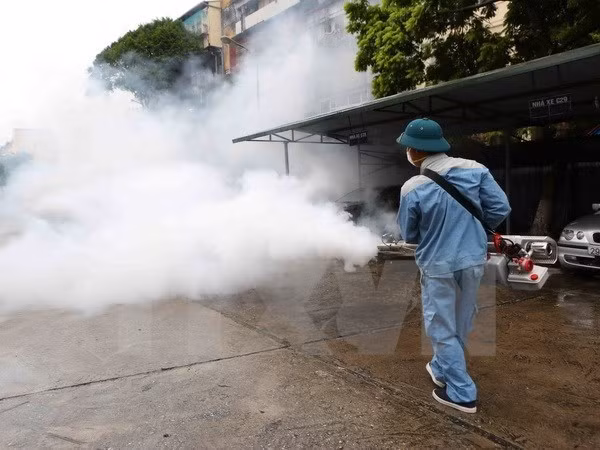 More than 95 percent of Hanoi’s dengue hotbeds under control ảnh 1