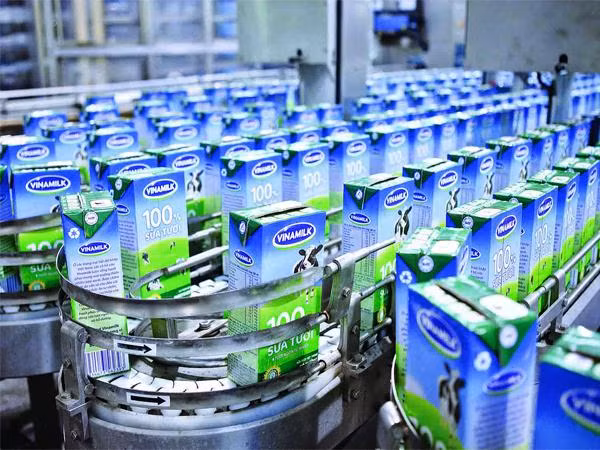 Vinamilk expects its Q3 revenue at 591 million USD ảnh 1