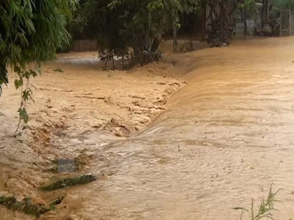 Vietnam to develop natural resources, environment monitoring database ảnh 1 Vietnam to develop natural resources, environment monitoring database ảnh 1