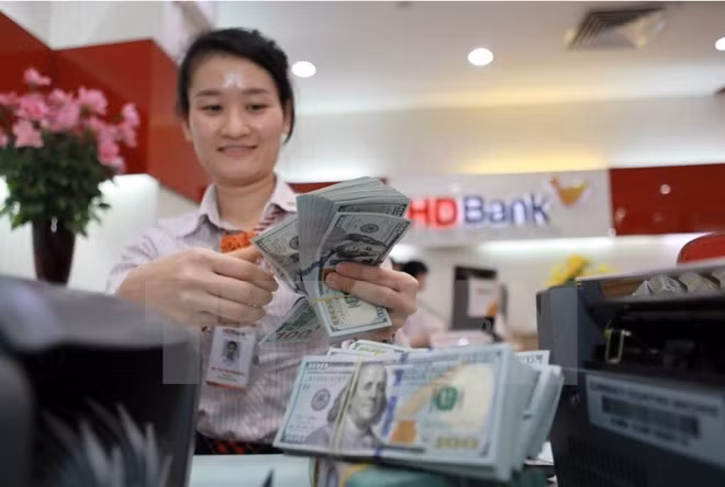 Reference exchange rate down by 2 VND at week’s beginning ảnh 1 Reference exchange rate down by 2 VND at week’s beginning ảnh 1