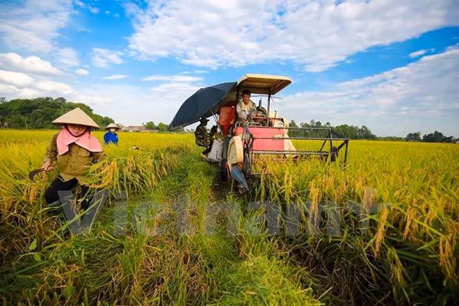 Vietnam, Germany cooperate in vocational training for farmers ảnh 1 Vietnam, Germany cooperate in vocational training for farmers ảnh 1