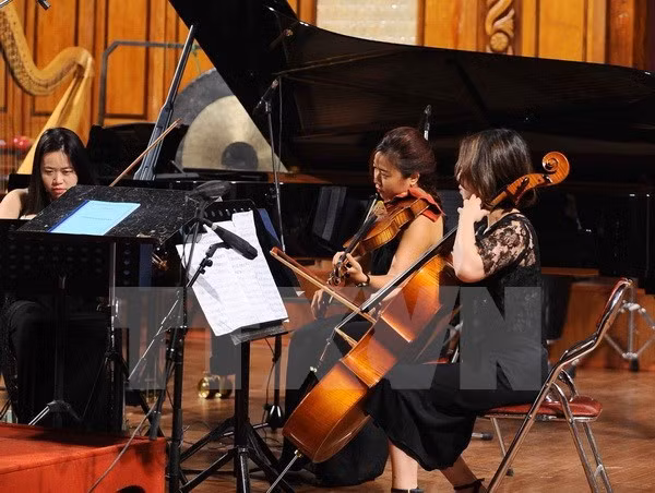 Vietnamese, German, Japanese artists to perform special concert ảnh 1
