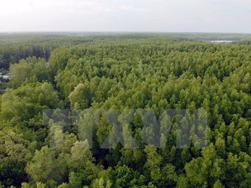 Programme on gas emission and deforestation reduction gets approved ảnh 1 Programme on gas emission and deforestation reduction gets approved ảnh 1