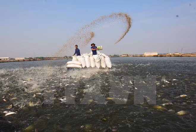 Low FDI in Mekong Delta attributed to poor infrastructure ảnh 1 Low FDI in Mekong Delta attributed to poor infrastructure ảnh 1
