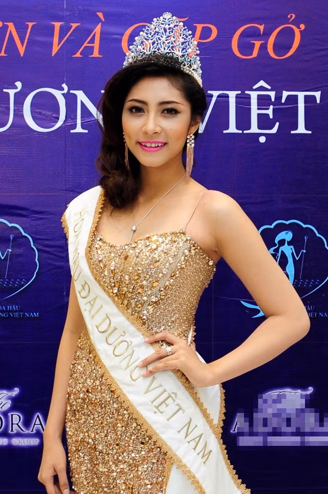 Miss Ocean Vietnam 2017 launched in HCM City ảnh 1