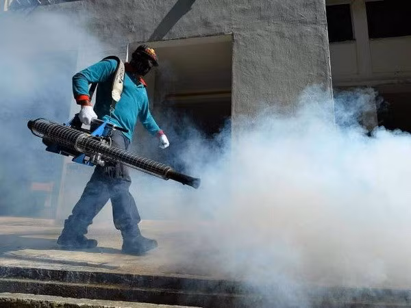 New Zika cluster detected in Singapore ảnh 1