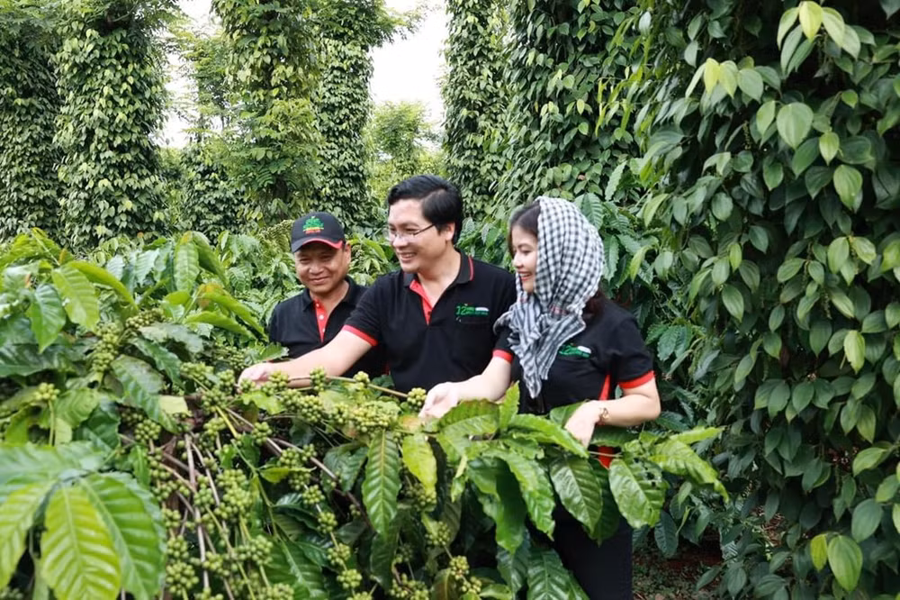 Nestlé helps farmers shift to regenerative agriculture ảnh 2