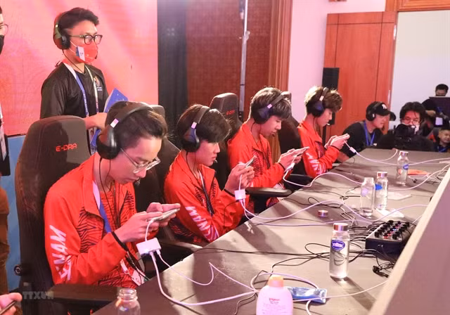 Vietnam’s eSports team expected to shine at SEA Games ảnh 1