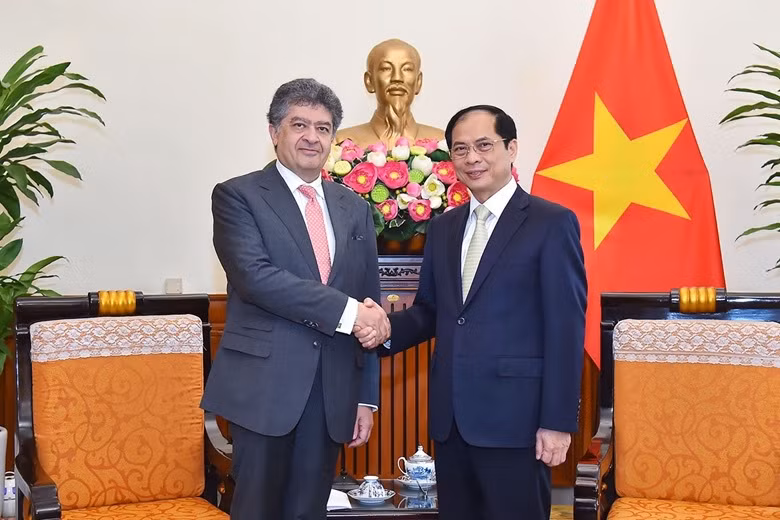 Foreign Minister receives Armenian Ambassador ảnh 1