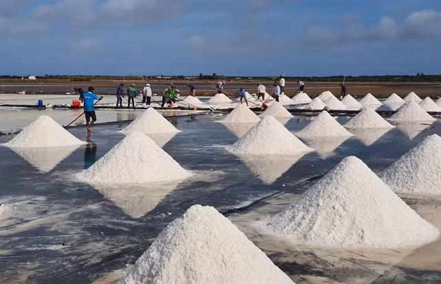 Vietnam’s salt industry must adapt: official ảnh 1