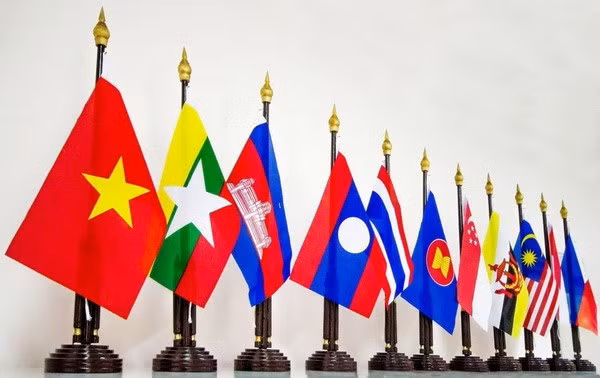 Vietnam contributes to ASEAN’s development: Diplomat ảnh 1