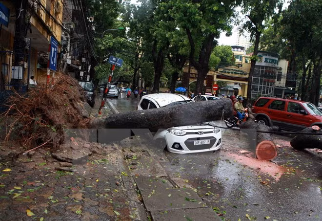 PM orders ministries, localities to brace for typhoon Nida ảnh 1 PM orders ministries, localities to brace for typhoon Nida ảnh 1