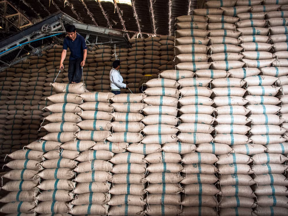 Thailand to sell 10 million tonnes of stockpiled rice ảnh 1