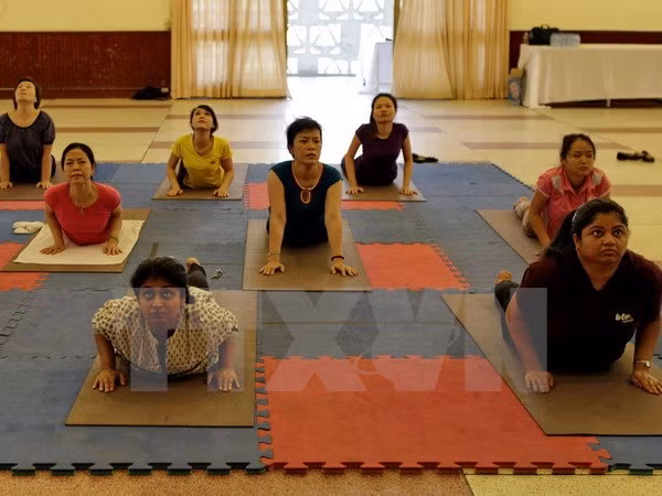 Da Nang programme responds to Int’l Yoga Day ảnh 1