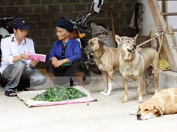 Vietnam responses to animal health and zoonoses ảnh 1
